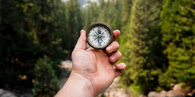 Hand with compass in forest